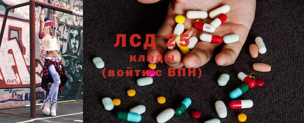 ГАЛЛЮЦИНОГЕННЫЕ ГРИБЫ Балахна